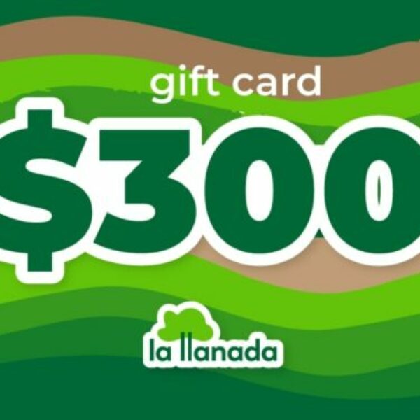 Gift Card - $300