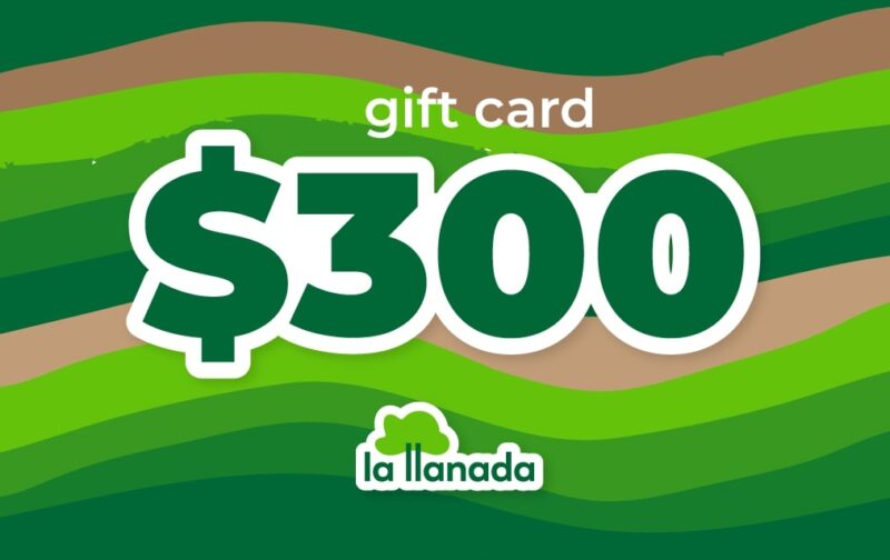 Gift Card - $300
