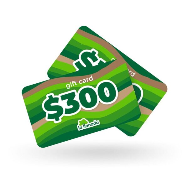 Gift Card - $300