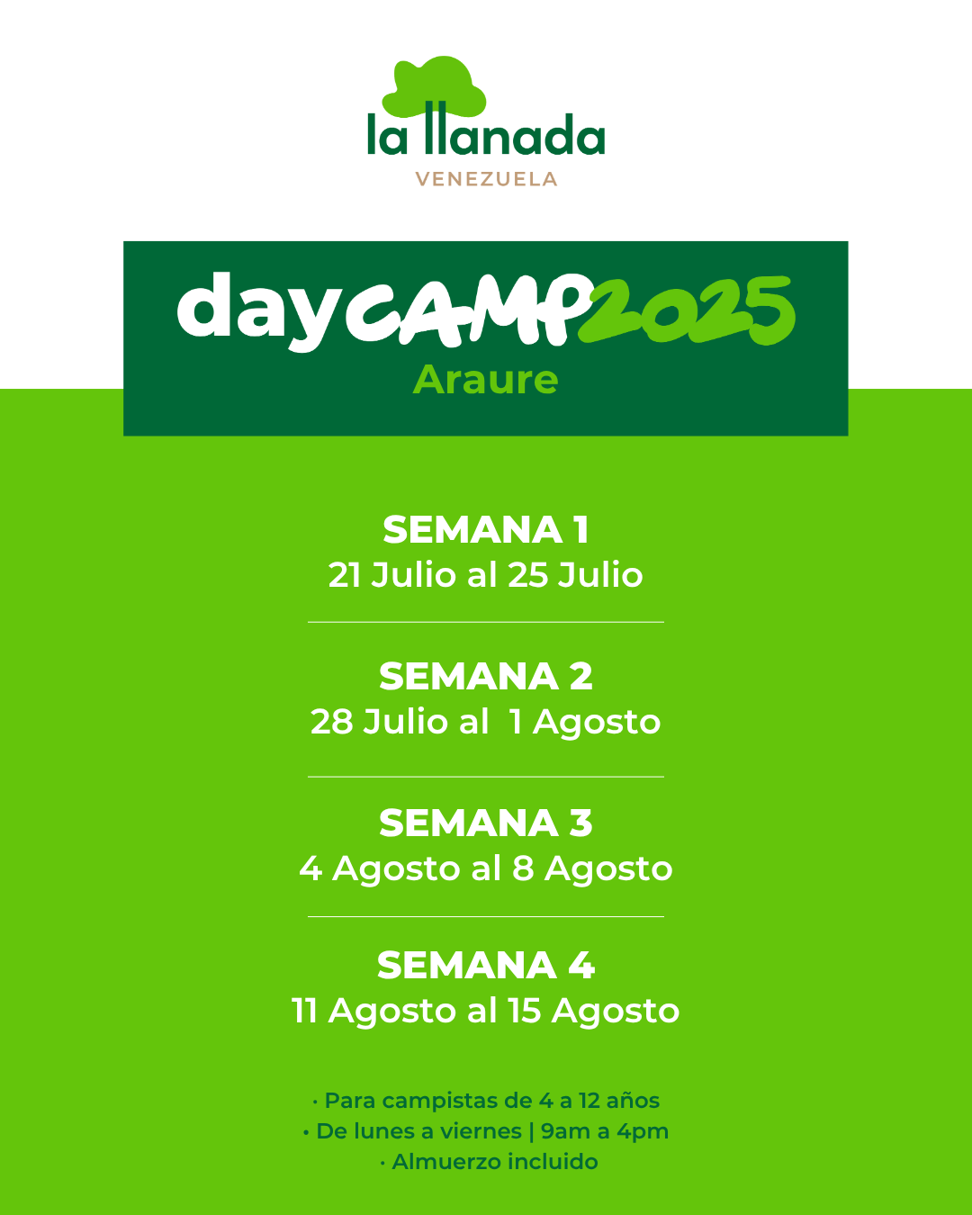 day camp araure 2025