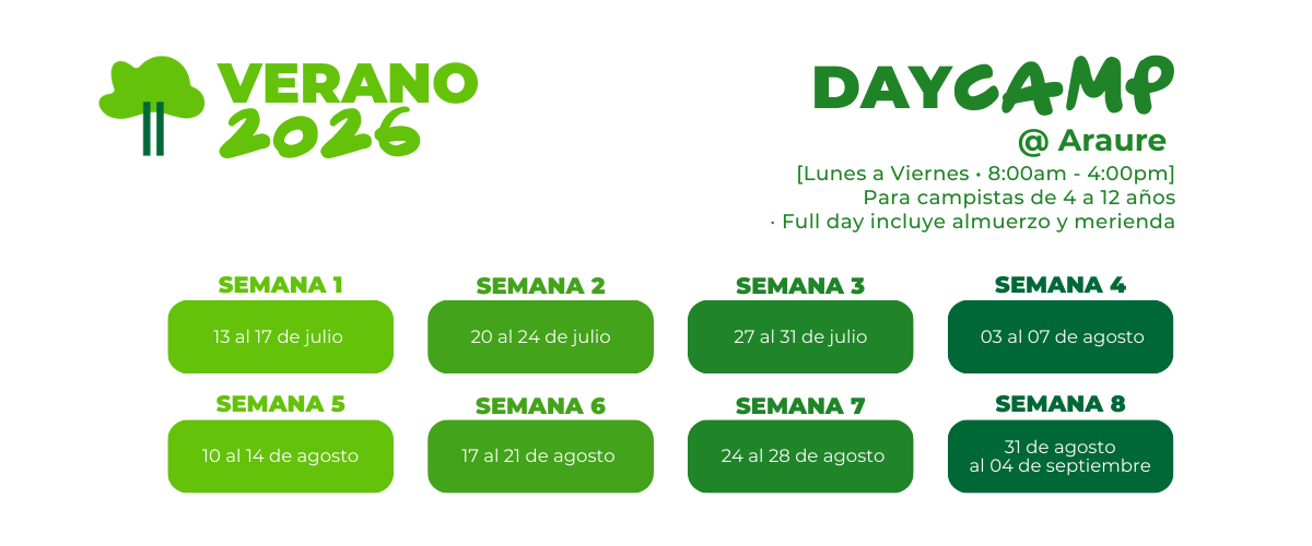 DayCamp_Cuadros_VE